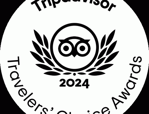Boost Portugal wins Tripadvisor® Travelers’ Choice® Awards 2024
